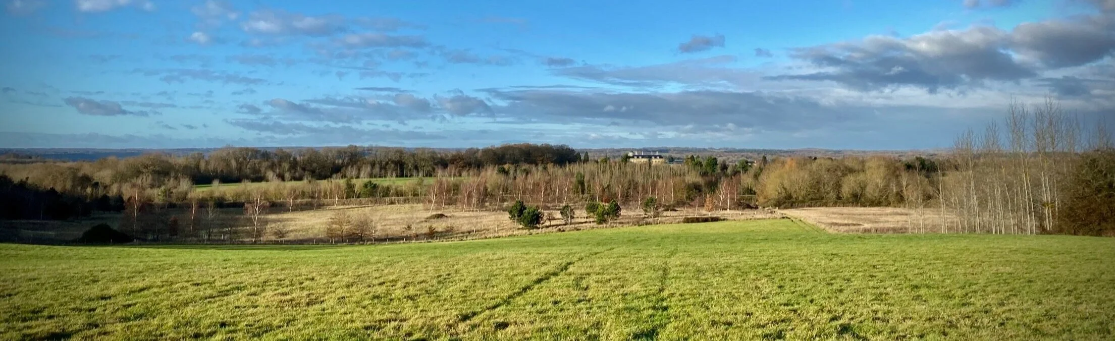 Looking across fields and woodland towards Ashley Hill